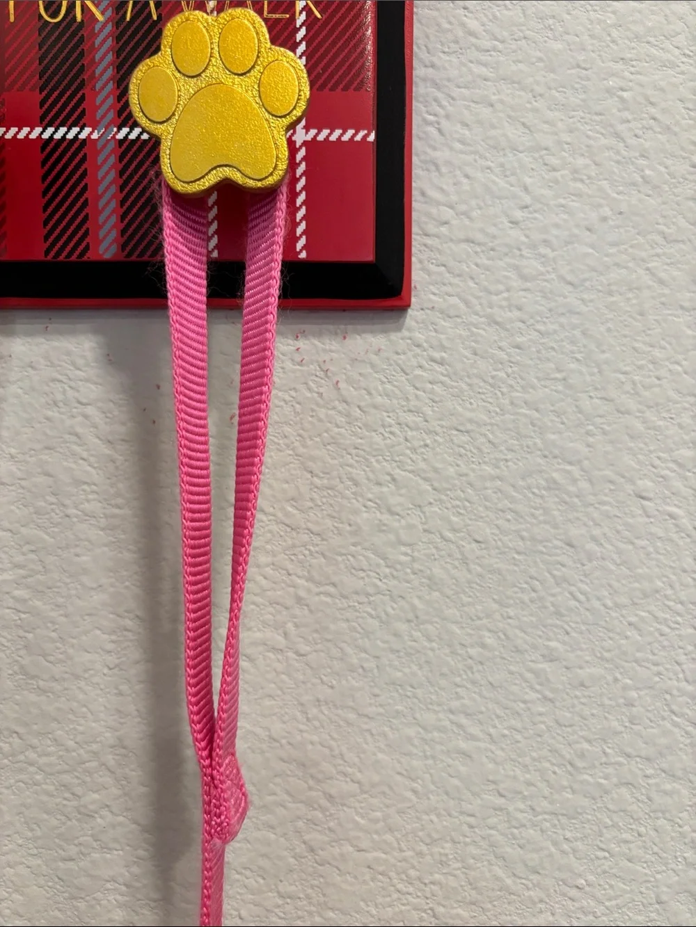 Top Paw 6’ Bright Pink Nylon Dog Leash with Metal Clip